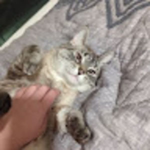 Meet your Posher, Ciara